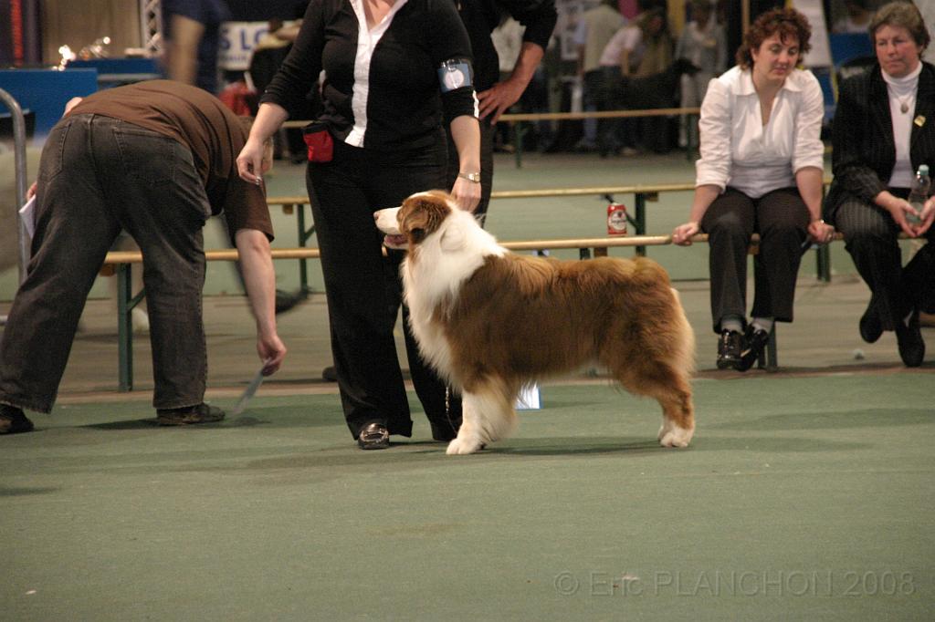 IMG_2330.JPG