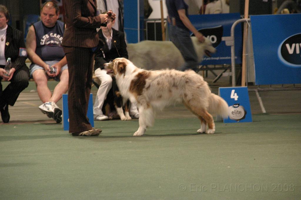 IMG_2332.JPG