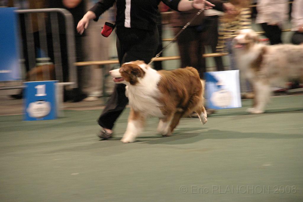 IMG_2335.JPG