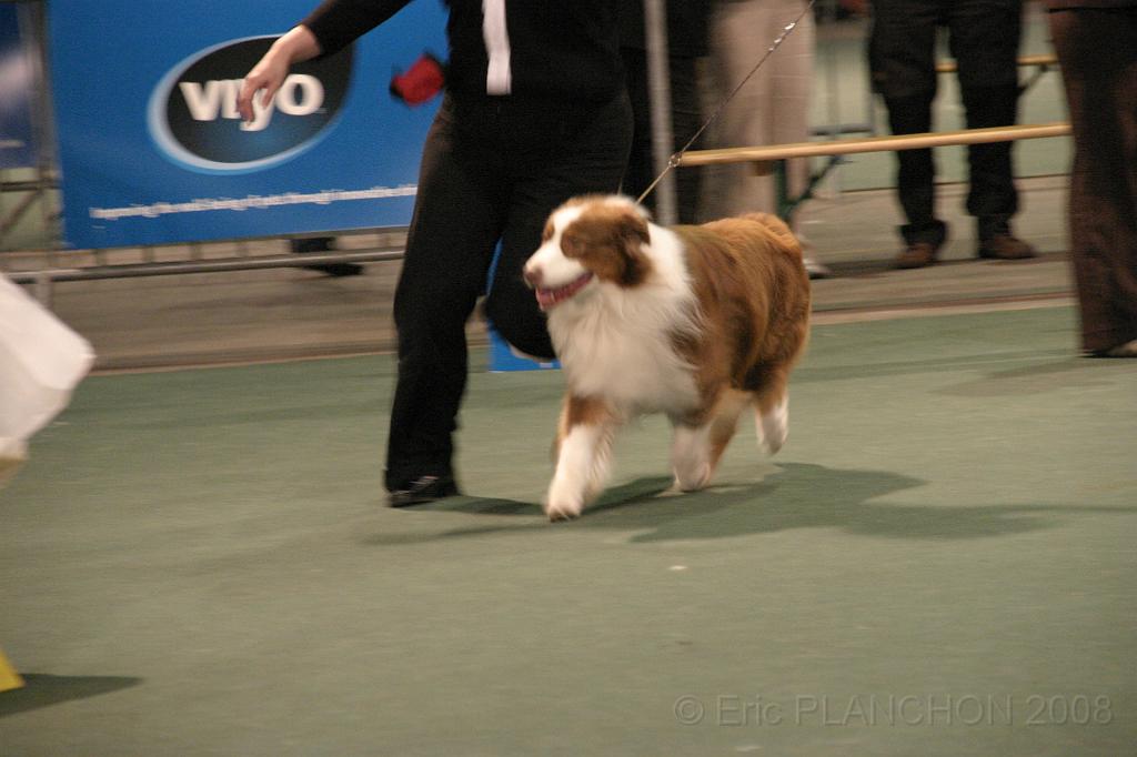 IMG_2336.JPG