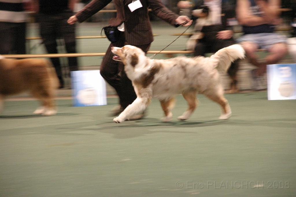 IMG_2340.JPG
