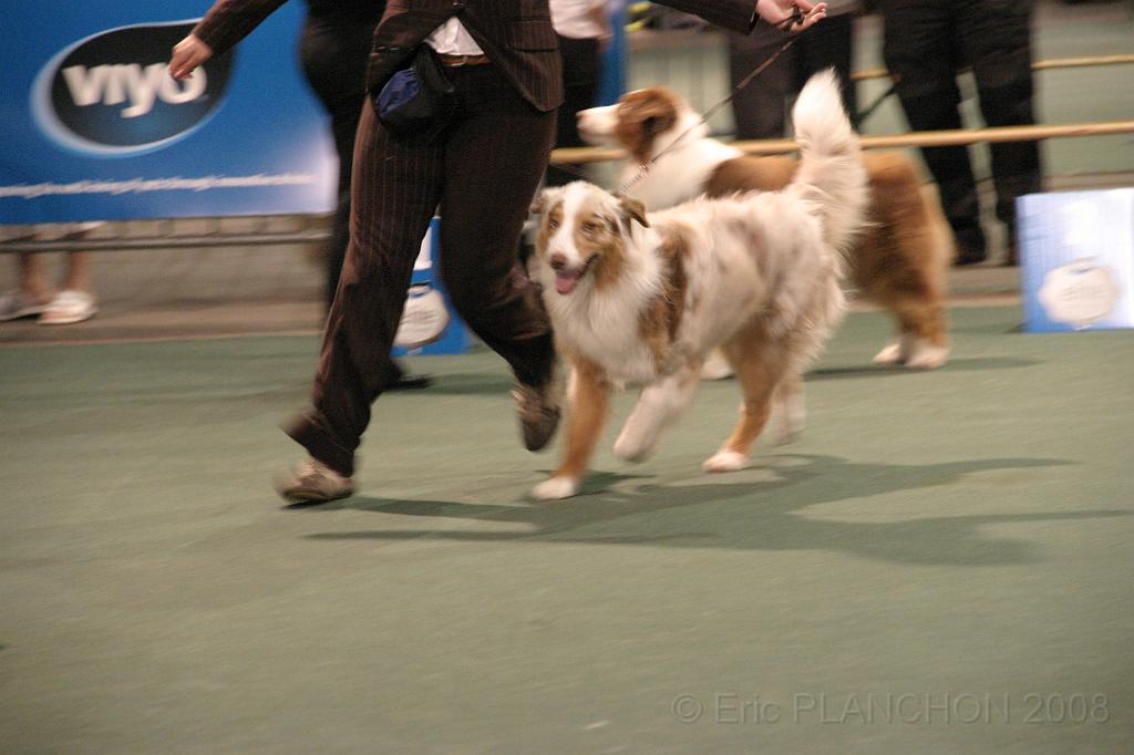IMG_2342.JPG