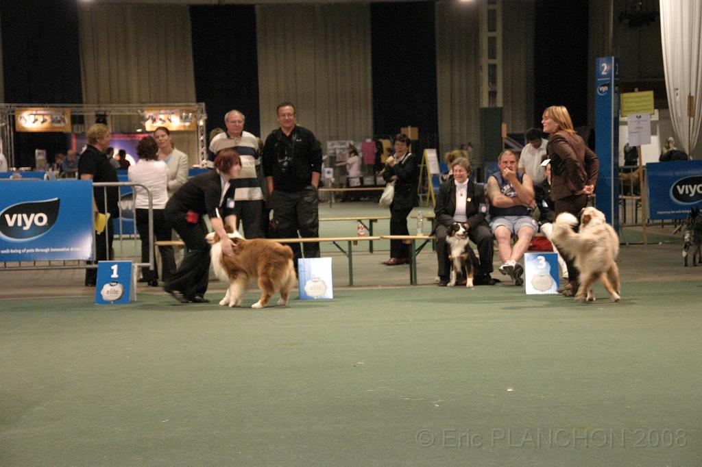 IMG_2345.JPG