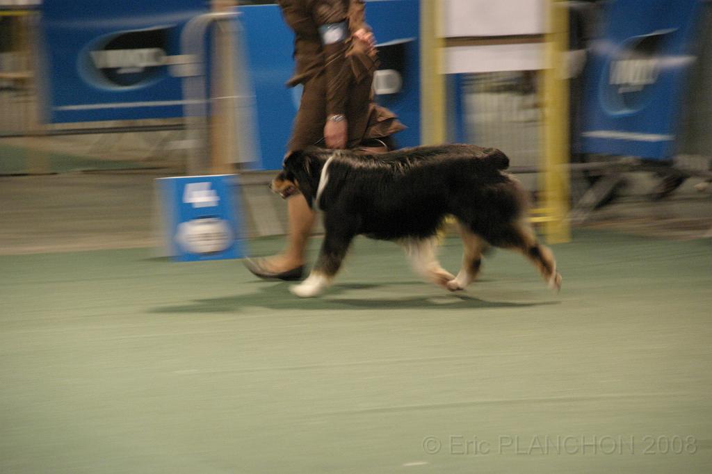 IMG_2353.JPG