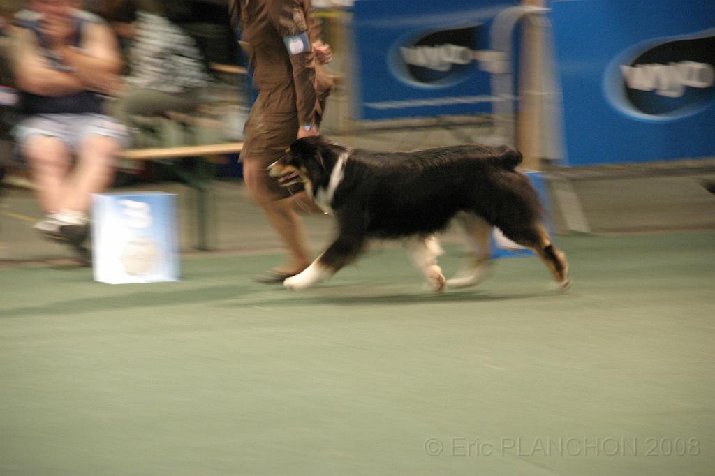 IMG_2354.JPG