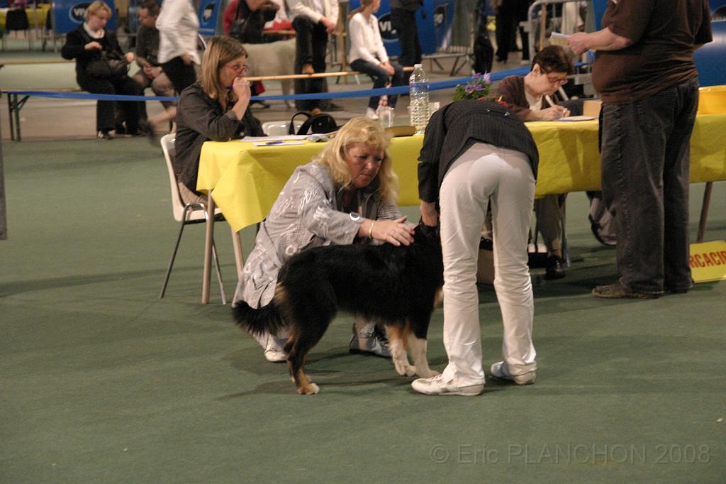 IMG_2373.JPG