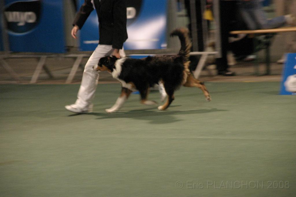 IMG_2376.JPG