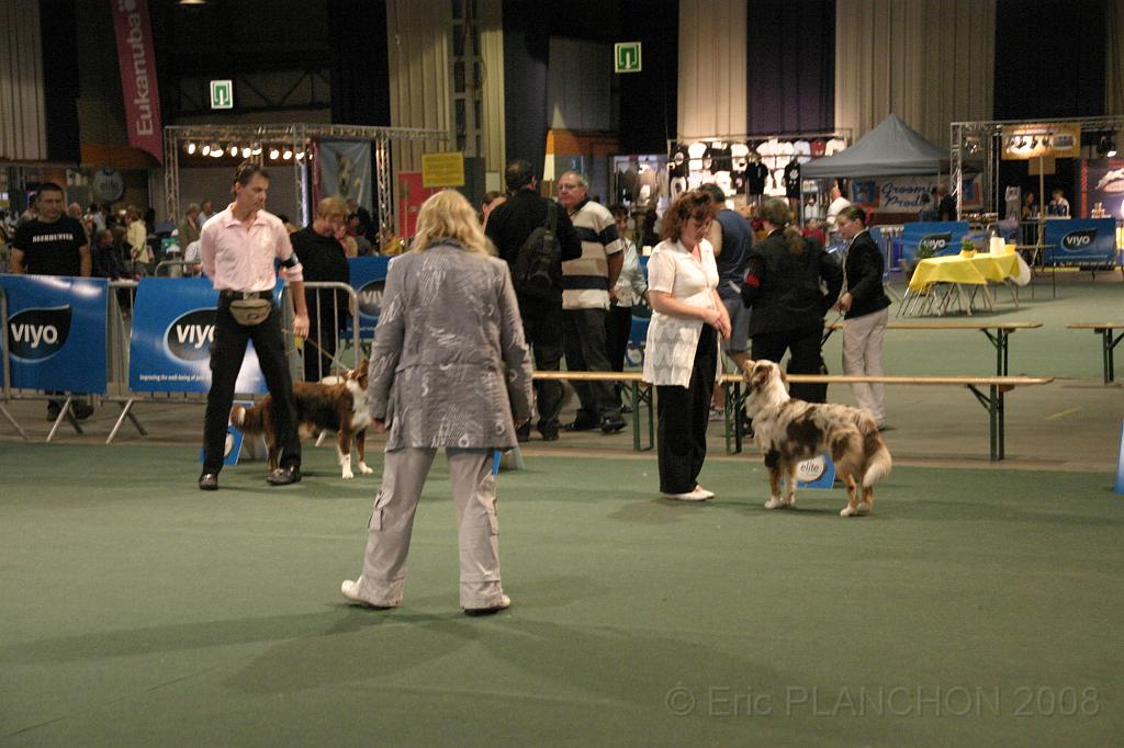 IMG_2382.JPG