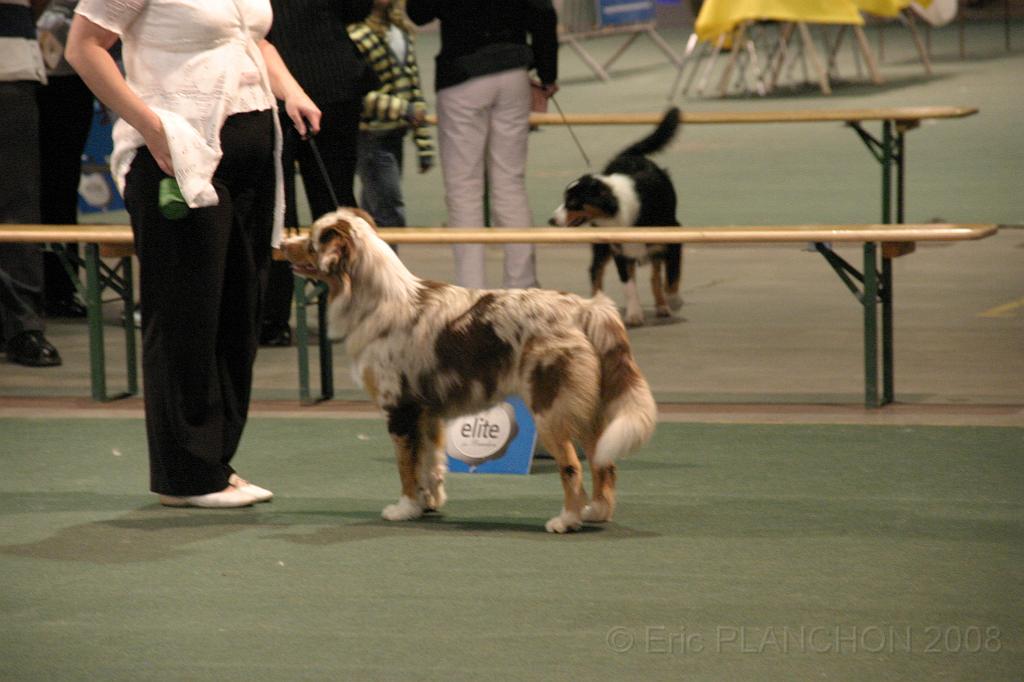 IMG_2383.JPG