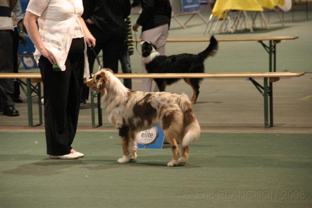 IMG_2384.JPG