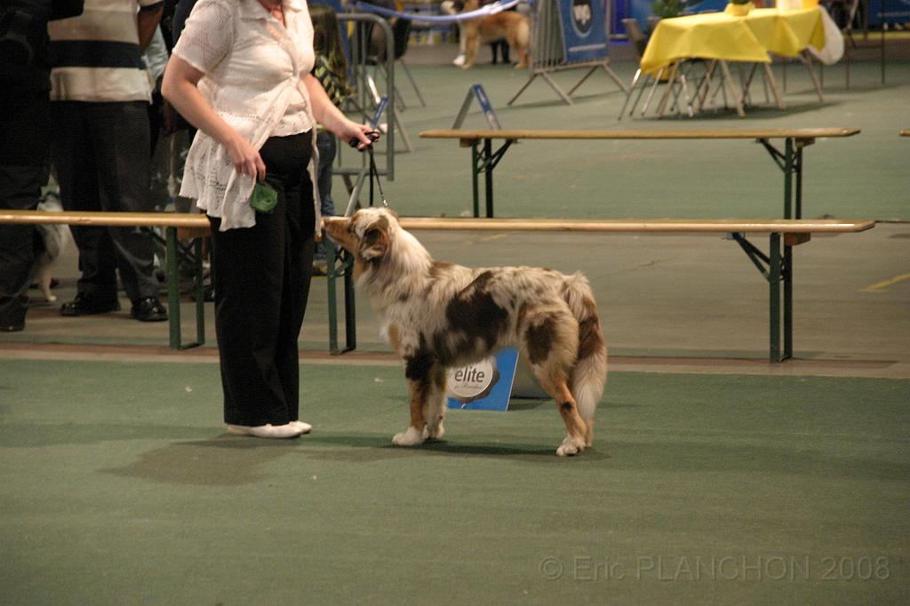 IMG_2387.JPG