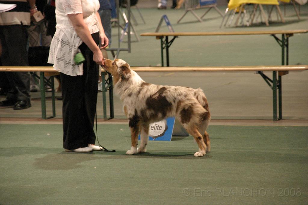 IMG_2390.JPG