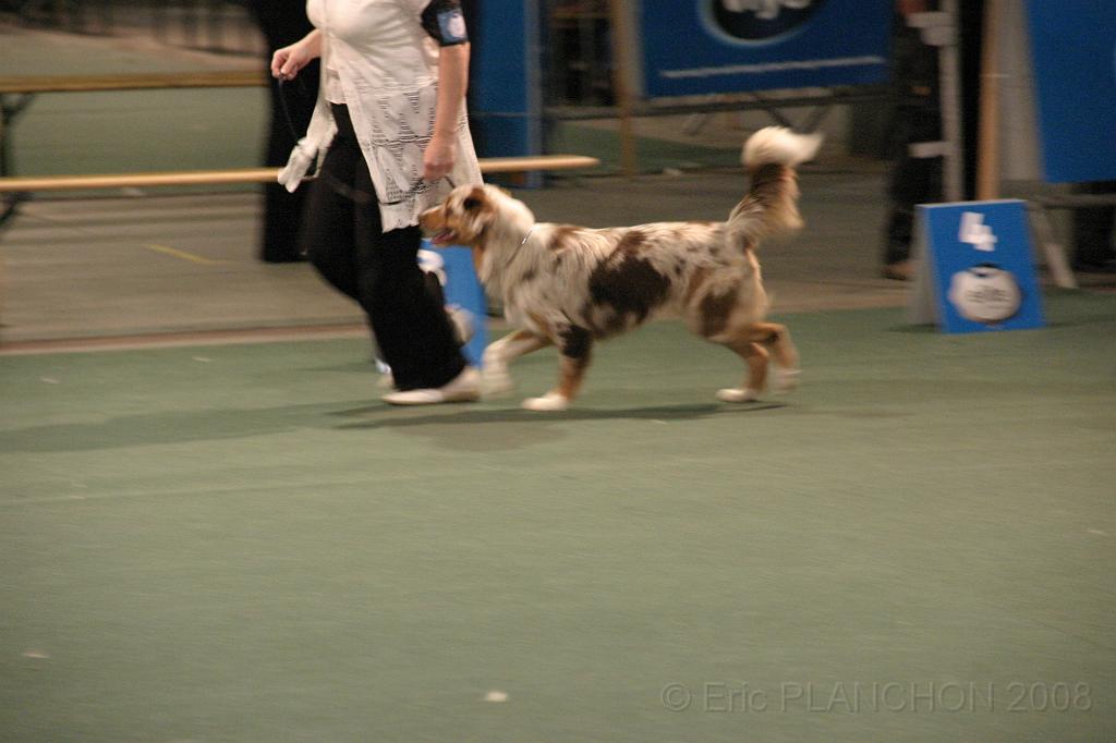 IMG_2392.JPG