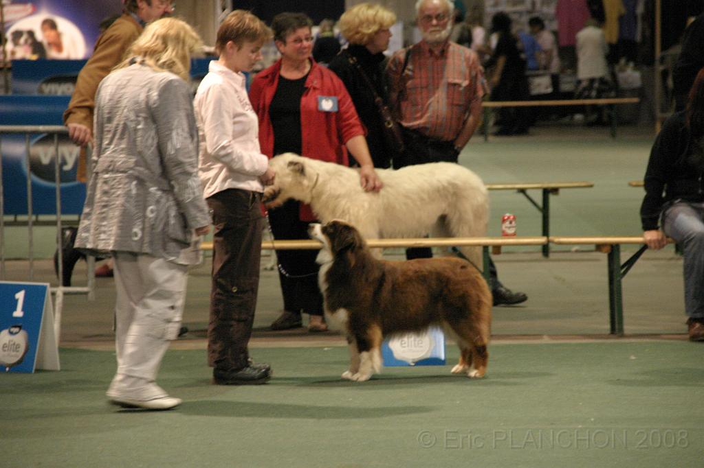 IMG_2406.JPG