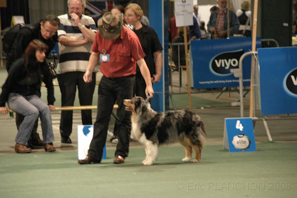IMG_2407.JPG