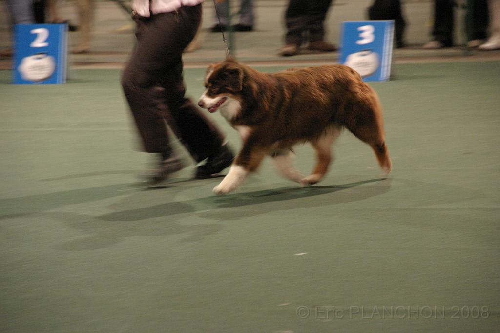 IMG_2413.JPG
