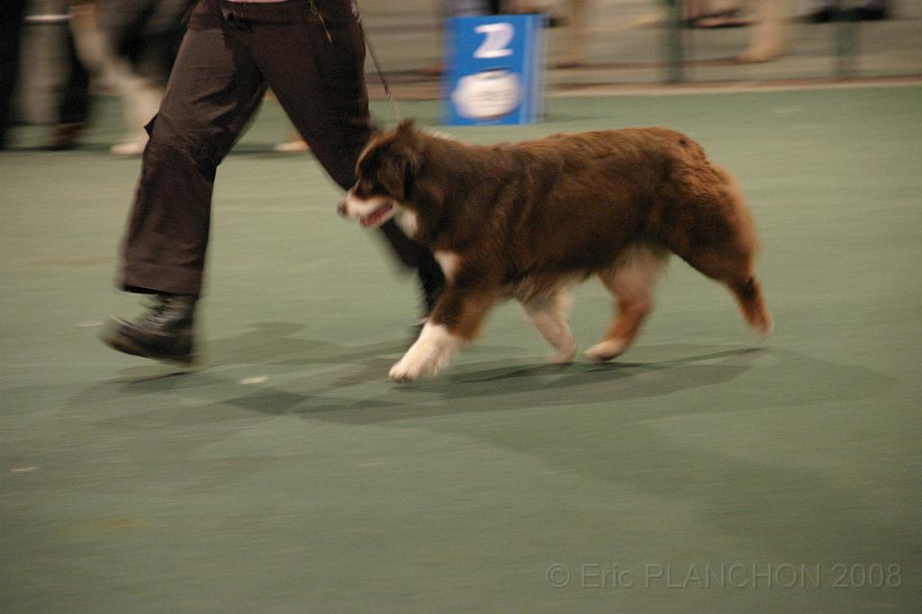 IMG_2414.JPG