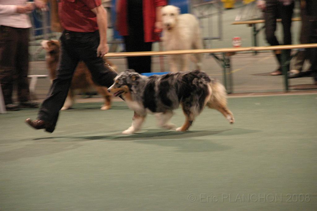 IMG_2419.JPG