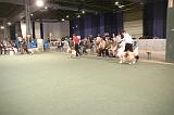 IMG_2267
