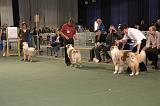 IMG_2272
