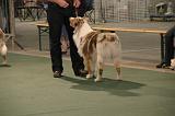 IMG_2277