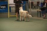 IMG_2278