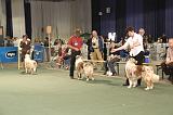 IMG_2279