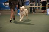 IMG_2285