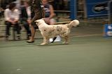 IMG_2289