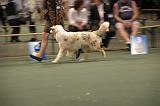 IMG_2290