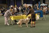 IMG_2294