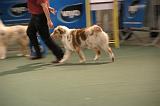 IMG_2301