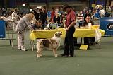 IMG_2306