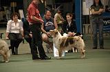 IMG_2310