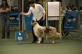 IMG_2311
