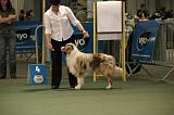 IMG_2312