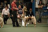 IMG_2317