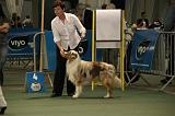 IMG_2319