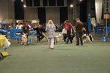 IMG_2320