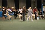 IMG_2323