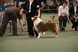 IMG_2330