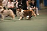 IMG_2333