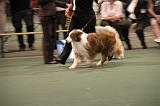 IMG_2334