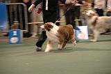 IMG_2335