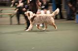 IMG_2339
