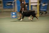 IMG_2353