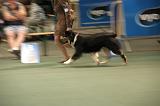 IMG_2354