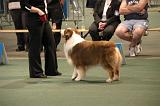IMG_2362