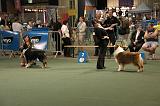 IMG_2363