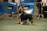 IMG_2364
